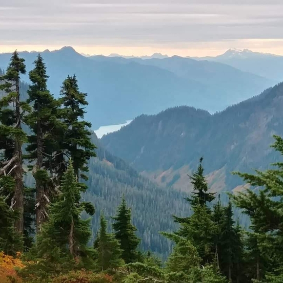 LIVE w/ @justbeingcheimi ✨ - Picture 4 of 7